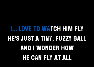 I... LOVE TO WATCH HIM FLY
HE'S JUST A TINY, FUZZY BALL
AND I WONDER HOW
HE CAN FLY AT ALL