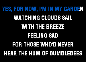 YES, FOR HOW, I'M IN MY GARDEN
WATCHING CLOUDS SAIL
WITH THE BREEZE
FEELING SAD
FOR THOSE WHO'D NEVER
HEAR THE HUM 0F BUMBLEBEES
