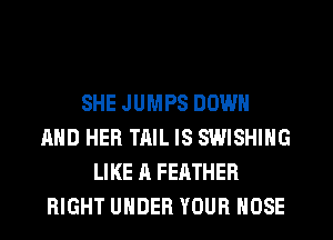 SHE JUMPS DOWN
AND HER TAIL IS SWISHING
LIKE A FEATHER
RIGHT UNDER YOUR HOSE