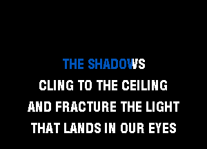 THE SHADOWS
CLING TO THE CEILING
AND FRACTURE THE LIGHT
THAT LANDS IN OUR EYES