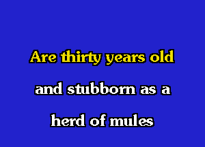 Are thirty years old

and stubbom as a

herd of mules
