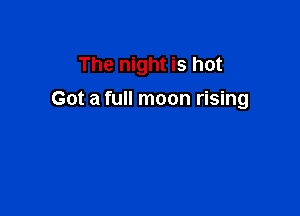 The night is hot
Got a full moon rising