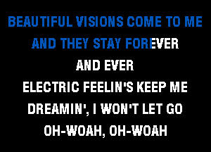 BEAUTIFUL VISIONS COME TO ME
AND THEY STAY FOREVER
AND EVER
ELECTRIC FEELIH'S KEEP ME
DREAMIH', I WON'T LET GO
OH-WOAH, OH-WOAH