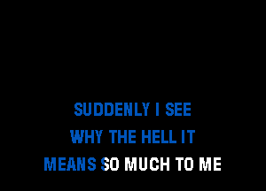 SUDDEHLY I SEE
WHY THE HELL IT
MEANS SO MUCH TO ME