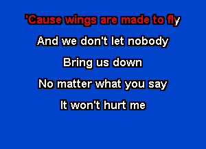'Cause wings are made to fly
And we don't let nobody

Bring us down

No matter what you say

It won't hurt me