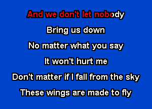 And we don't let nobody
Bring us down
No matter what you say

It won't hurt me

Don't matter if I fall from the sky

These wings are made to fly