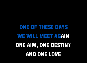 ONE OF THESE DAYS
WE WILL MEET AGAIN
ONE AIM, ONE DESTINY

AND ONE LOVE l