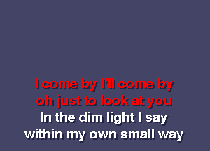 In the dim light I say
within my own small way