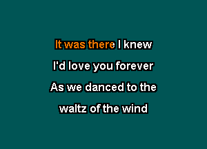 It was there I knew

I'd love you forever

As we danced to the

waltz of the wind