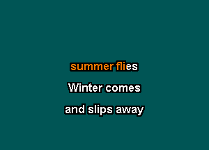 summerflies

Winter comes

and slips away