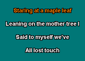 Staring at a maple leaf

Leaning on the mother tree I
Said to myself we've

All lost touch