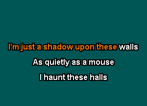 I'm just a shadow upon these walls

As quietly as a mouse

I haunt these halls