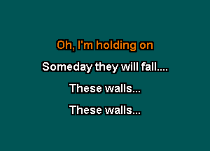 Oh, I'm holding on

Someday they will fall....

These walls...

These walls...