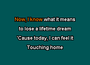 Now, I know what it means

to lose a lifetime dream
'Cause today, I can feel it

Touching home