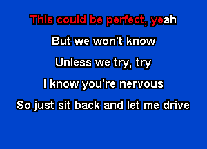 This could be perfect, yeah

But we won't know
Unless we try, try
I know you're nervous

So just sit back and let me drive