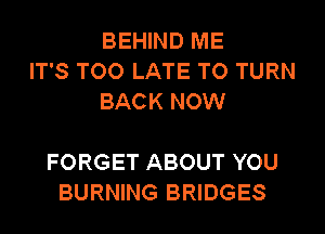 BEHIND ME
IT'S TOO LATE TO TURN
BACK NOW

FORGET ABOUT YOU
BURNING BRIDGES