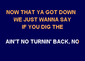 NOW THAT YA GOT DOWN
WE JUST WANNA SAY
IF YOU DIG THE

AIN'T N0 TURNIN' BACK, N0