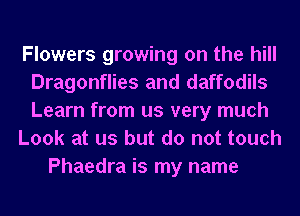 Flowers growing on the hill
Dragonflies and daffodils
Learn from us very much

Look at us but do not touch

Phaedra is my name