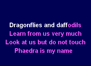 Dragonflies and daffodils

Learn from us very much
Look at us but do not touch
Phaedra is my name
