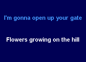 I'm gonna open up your gate

Flowers growing on the hill