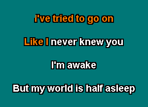 I've tried to go on
Like I never knew you

I'm awake

But my world is half asleep