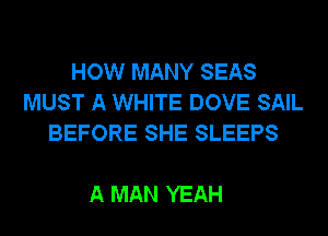 HOW MANY SEAS
MUST A WHITE DOVE SAIL
BEFORE SHE SLEEPS

A MAN YEAH
