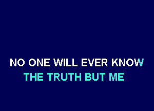 NO ONE WILL EVER KNOW
THE TRUTH BUT ME