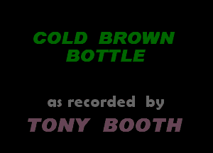 GOLD BROWN
BOTTLE

as recorded by

705337 3007M