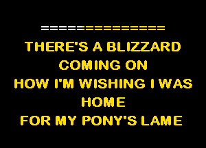 THERE'S A BLIZZARD
COMING ON
HOW I'M WISHING I WAS
HOME
FOR MY PONY'S LAME