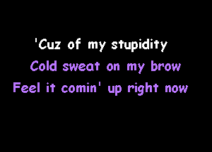 'Cuz of my stupidity

Cold sweat on my brow
Feel it comin' up right now