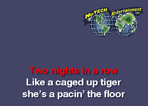 Like a caged up tiger
she,s a pacin, the floor