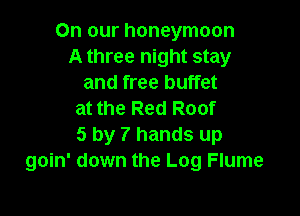 On our honeymoon
A three night stay
and free buffet

at the Red Roof
5 by 7 hands up
goin' down the Log Flume