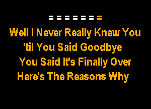 Well I Never Really Knew You
'til You Said Goodbye

You Said It's Finally Over
Here's The Reasons Why