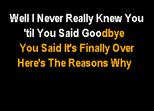 Well I Never Really Knew You
'til You Said Goodbye
You Said It's Finally Over

Here's The Reasons Why