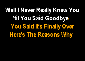 Well I Never Really Knew You
'til You Said Goodbye
You Said It's Finally Over

Here's The Reasons Why