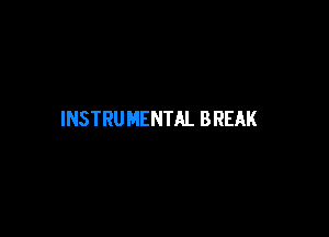 INSTRUMENTAL BREAK