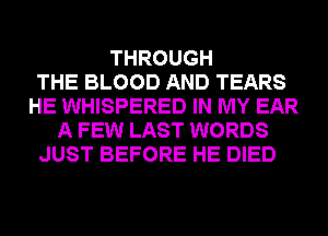 THROUGH
THE BLOOD AND TEARS
HE WHISPERED IN MY EAR
A FEW LAST WORDS
JUST BEFORE HE DIED