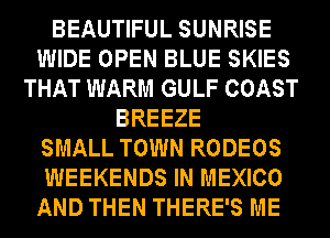 BEAUTIFUL SUNRISE
WIDE OPEN BLUE SKIES
THAT WARM GULF COAST
BREEZE
SMALL TOWN RODEOS
WEEKENDS IN MEXICO
AND THEN THERE'S ME