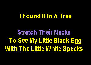 I Found It In A Tree

Stretch Their Necks

To See My Little Black Egg
With The Little White Specks