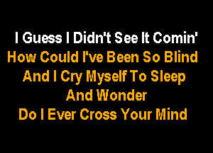 I Guess I Didn't See It Comin'
How Could I've Been So Blind
And I Cly Myself To Sleep
And Wonder
Do I Ever Cross Your Mind