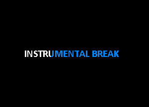 INSTRUMENTAL BREAK