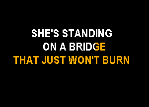 SHE'S STANDING
ON A BRIDGE

THAT JUST WON'T BURN