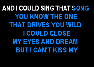 AND I COULD SING THAT SONG
YOU KNOW THE ONE
THAT DRIVES YOU WILD
I COULD CLOSE
MY EYES AND DREAM
BUT I CAN'T KISS MY