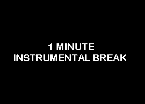 1 MINUTE

INSTRUM ENTAL BREAK