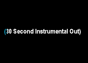 (30 Second Instrumental Out)