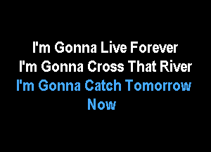 I'm Gonna Live Forever
I'm Gonna Cross That River

I'm Gonna Catch Tomorrow
Now