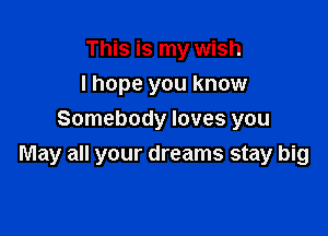 This is my wish
I hope you know

Somebody loves you
May all your dreams stay big