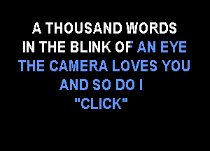A THOUSAND WORDS
IN THE BLINK OF AN EYE
THE CAMERA LOVES YOU
AND SO DO I
CLICK
