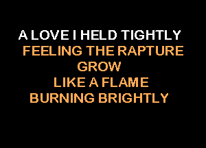 A LOVE I HELD TIGHTLY
FEELING THE RAPTURE
GROW
LIKE A FLAME
BURNING BRIGHTLY