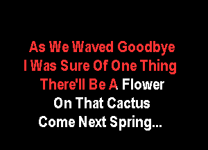 As We Waved Goodbye
I Was Sure Of One Thing

There'll Be A Flower
On That Cactus
Come Next Spring...